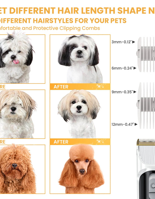 Load image into Gallery viewer, Pet Grooming Vacuum for Dogs &amp; Cats, 13000Pa Suction, 5-In-1 Grooming Kit with Low Noise, 2.5L Dust Cup, Wireless Clippers, Deshedding Brush – Professional At-Home Pet Hair Cleaner
