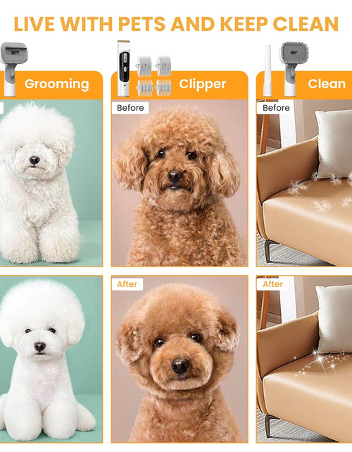 Load image into Gallery viewer, Pet Grooming Vacuum for Dogs &amp; Cats, 13000Pa Suction, 5-In-1 Grooming Kit with Low Noise, 2.5L Dust Cup, Wireless Clippers, Deshedding Brush – Professional At-Home Pet Hair Cleaner
