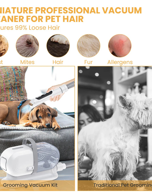 Load image into Gallery viewer, Pet Grooming Vacuum for Dogs &amp; Cats, 13000Pa Suction, 5-In-1 Grooming Kit with Low Noise, 2.5L Dust Cup, Wireless Clippers, Deshedding Brush – Professional At-Home Pet Hair Cleaner
