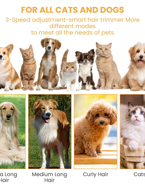 Load image into Gallery viewer, Pet Grooming Vacuum for Dogs &amp; Cats, 13000Pa Suction, 5-In-1 Grooming Kit with Low Noise, 2.5L Dust Cup, Wireless Clippers, Deshedding Brush – Professional At-Home Pet Hair Cleaner
